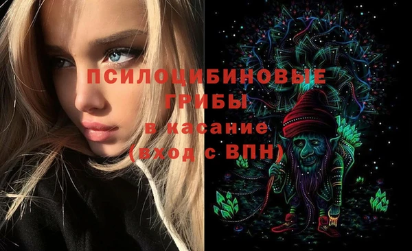 а пвп мука Абаза