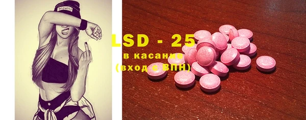 крисы Алзамай