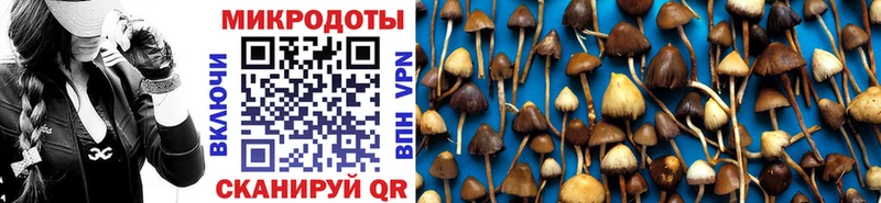 Псилоцибиновые грибы ЛСД  купить  цена  МЕГА ONION  Сусуман 
